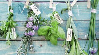 Jaké bylinky jsou na jaře ty nej?