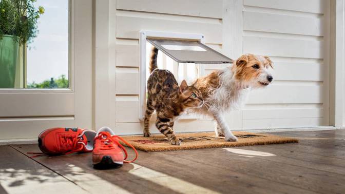 Všichni milovníci psů a koček vědí, že výběr vhodných antiparazitárních přípravků je nelehký úkol.