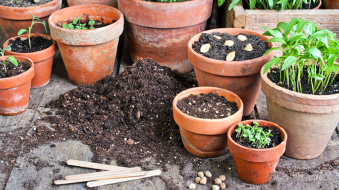 Jaro je čas, kdy ožívá zahrada.