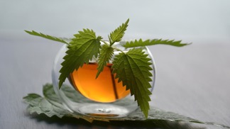 Domácím kopřivovým sirupem můžete sladit třeba čaj.