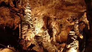 Javoříčské jeskyně jsou unikátní svojí bohatou, zachovalou a rozmanitou krápníkovou výzdobou.