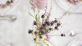 Horoskop letních květin: Kterým druhem uděláte radost Střelci a na jakou vůni má alergii Lev?