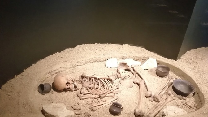 Expozice využívá výsledků experimentální archeologie a je doplněna o nové modely, repliky a rekonstrukce. Najdete zde informace od počátků pravěku do doby příchodu Slovanů.