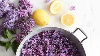 Před přidáním do hrnce je ale třeba jednotlivé kvítky otrhat.