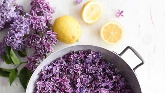 Před přidáním do hrnce je ale třeba jednotlivé kvítky otrhat.