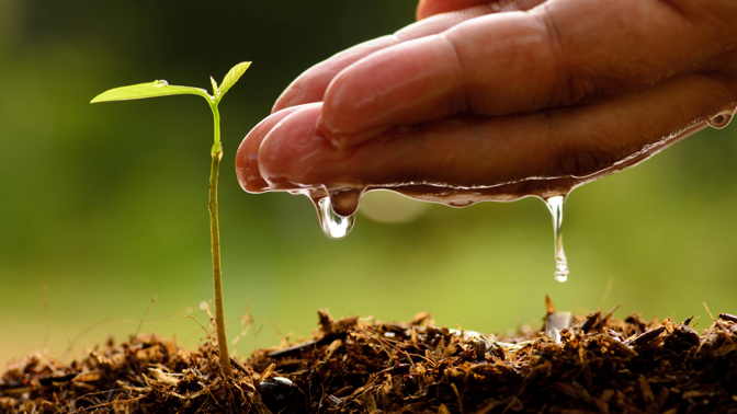 Kvalita, šetrnost k přírodě a mnoho dalšího se ukrývá pod zkratkou BIO