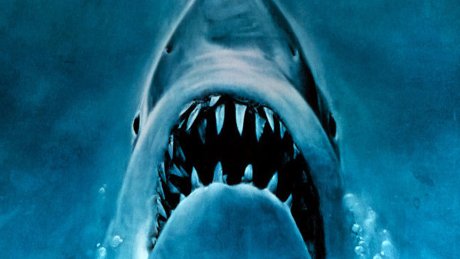 Nezbývá než čekat, až se objeví někdo, kdo bude mít dostatek odvahy k odstranění obrovitého zabijáka.