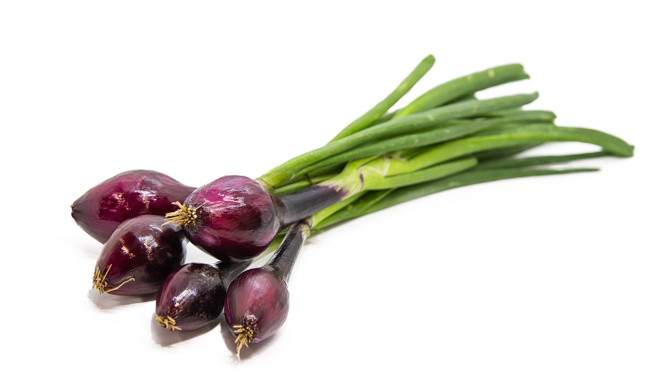 Když se jarní cibulka červená