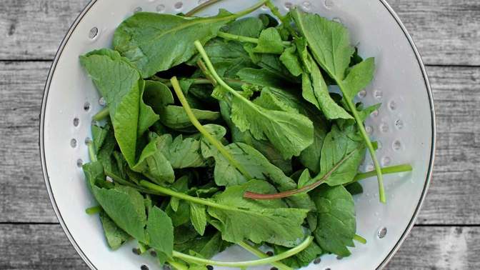 Už žádný odpad! Nyní můžete ze zeleninových listů uvařit dokonalé a zdravé jídlo