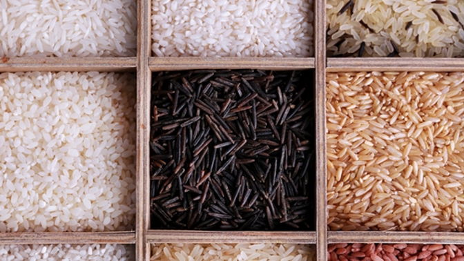 Rýže existuje velké množství druhů. Každá se hodí na něco jiného.