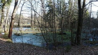 Branišovský les se rozkládá mezi českobudějovickým sídlištěm Máj, čtvrtí Zavadilka a obcemi Branišov. Je známý řadou tragických událostí, pověstí a příběhů popisujících paranormální jevy.