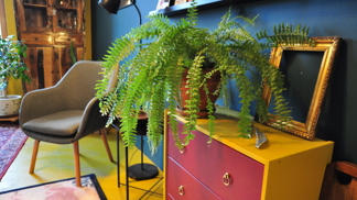 Styl a dobrá atmosféra, to je byt po zásahu designérky.