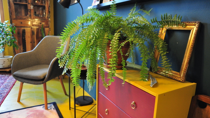 Styl a dobrá atmosféra, to je byt po zásahu designérky.