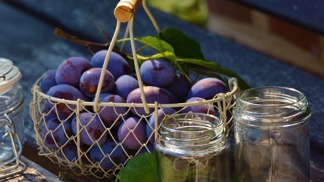 Zavařeniny a povidla ze švestek: Na co si dát pozor, abyste si na nich pochutnali?