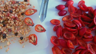 Šípková pasta

Hodně měkké šípky zbavíme stopek, ale nepůlíme je a dáme je na 24 hodin do mrazáku. Pak je necháme mírně povolit, každý šípek pevně zmáčkneme a z otvoru po stopce vytlačíme dřeň bez peciček i chloupků.

Dřeň promícháme s moučkovým cukrem podle chuti, napěchujeme ji do skleniček, které uložíme do chladničky. Pasta je výborná jako pomazánka, z hodně ztuhlé pasty můžeme tvarovat nepečené cukroví.