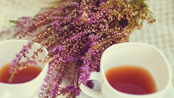 Vřesový odvar
2 lžičky květů nebo zelených nedřevnatých větviček čerstvých nebo sušených necháme povařit v 250 ml vody, poté necháme 15 minut stát, poté jej scedíme a popíjíme vlažný 1-2 šálky denně.