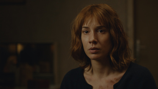 Marie - Houslistka z disidentské rodiny, o kterou ji připravila emigrace na Západ. Teď se Marii stýská. Vrátit se do Československa byl její nápad. Marie je zpočátku trochu naivní, brzy to však vyváží svou energií a tvrdohlavostí. O světě tajných služeb neví zhola nic. Ale bude se muset naučit v něm chodit.
