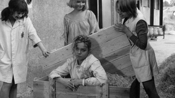 Laskavá komedie o jedné předávací inventuře, jenž je důkazem, že i takové místo jako sklad se může stát dějištěm úsměvného příběhu, který ani za víc než dvacet let, jenž od jeho vzniku uplynuly, neztratil nic ze svého kouzla.