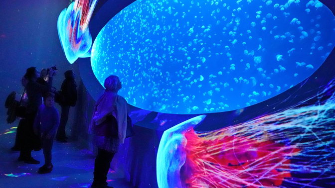 Nadšení návštěvníci čekali ve frontě na medúzy hodinu