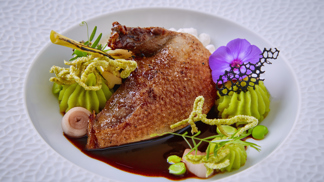 Ochutnejte fermentovaného holuba