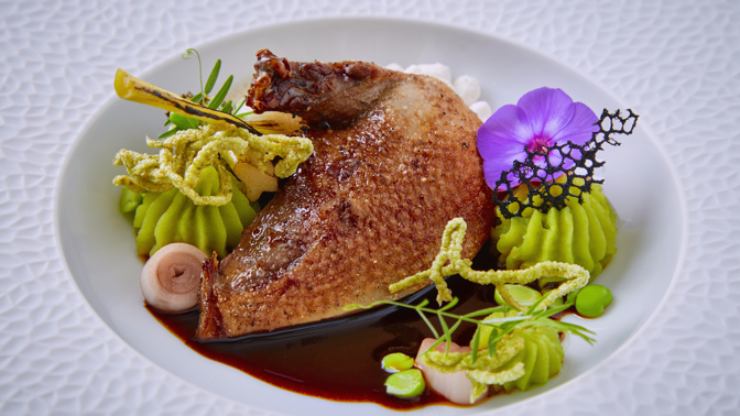 Ochutnejte fermentovaného holuba