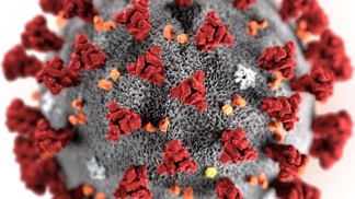 Wuchanský koronavirus má na svědomí epidemii, která propukla v prosinci 2019 Číně. První člověk nakažený koronavirem zemřel 9. ledna 2020. Základními symptomy jsou horečka, kašel a dušnost a následky onemocnění mohou být i smrtící.