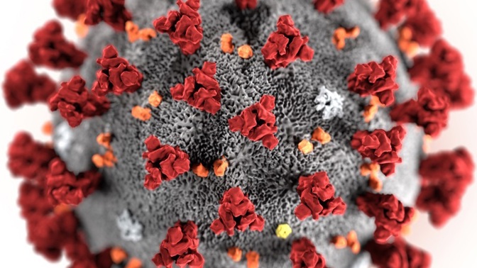 Wuchanský koronavirus má na svědomí epidemii, která propukla v prosinci 2019 Číně. První člověk nakažený koronavirem zemřel 9. ledna 2020. Základními symptomy jsou horečka, kašel a dušnost a následky onemocnění mohou být i smrtící.