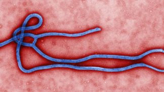 Nejnebezpečnější viry světa: Smrtící virus Ebola pojmenovali po řece protékající oblastí, kterou zasáhla první epidemie