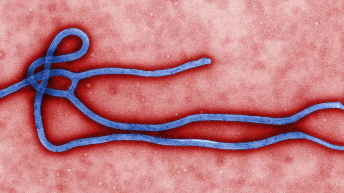 Nejnebezpečnější viry světa: Smrtící virus Ebola pojmenovali po řece protékající oblastí, kterou zasáhla první epidemie