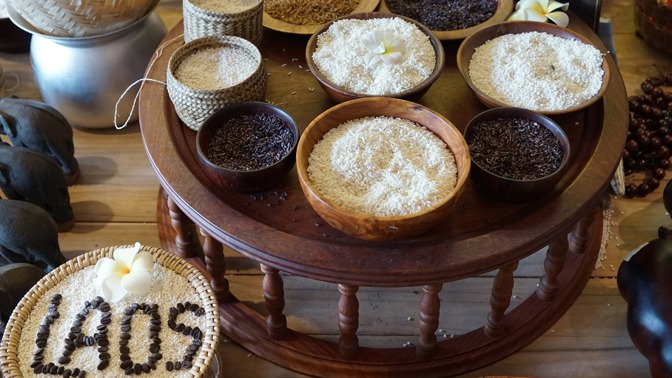 Průvodce rýží: Správný typ chuťově pozvedne jakýkoli pokrm