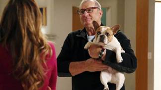 Fenka Stella ze seriálu Taková moderní rodinka odešla do zvířecího nebe. Herec Ed O´Neill ji miloval