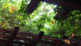 Porovnání: Dřevěná nebo hliníková pergola?