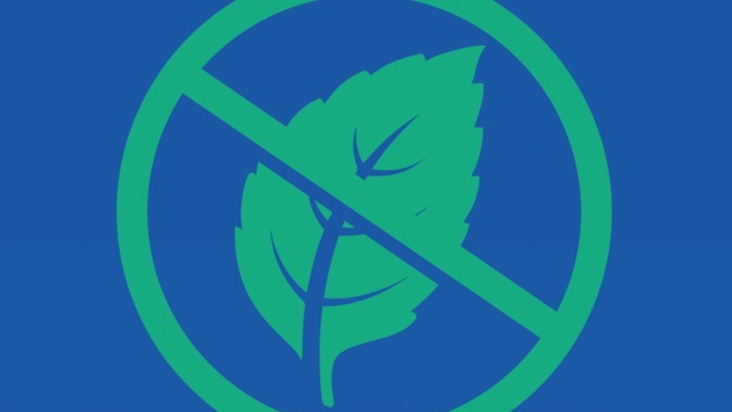 Historie oblíbených mentolek: Zbohatl na nich astmatik, pomohly ke zrovnoprávnění v Americe