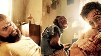 V bláznivé komedii Pařba v Bangkoku letí do exotického Thajska tři kamarádi na svatbu toho čtvrtého.