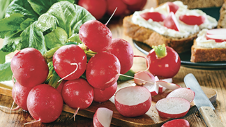 Ředkvičky: Červené královny jarní kuchyně. Jak s nimi pracovat a kde koupit ty nejlepší?