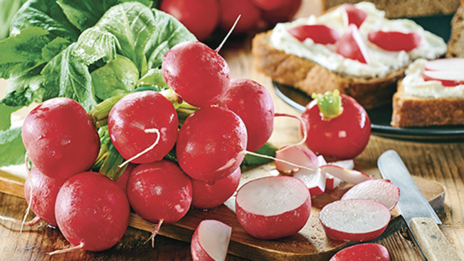 Ředkvičky: Červené královny jarní kuchyně. Jak s nimi pracovat a kde koupit ty nejlepší?