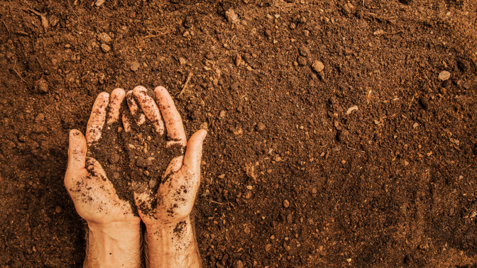 Praha spouští projekt ekologického zemědělství: Pole bez pesticidů, chemie a hnojiv