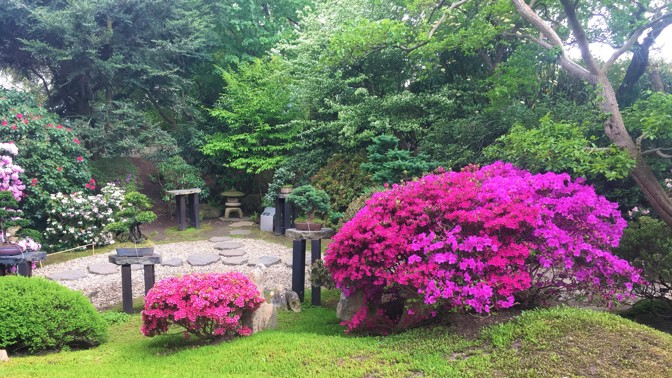 Japonský koutek v Botanické zahradě hl. m. Prahy.