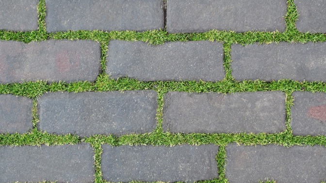Plevel v dlažbě: Zkuste to bez chemie, vyzkoušejte třeba trik s vodou z brambor