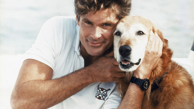 Pobřežní hlídka, David Hasselhoff