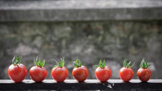 Recept pro zdraví: Dejte si každý den kousek zeleniny, co je možná ovoce