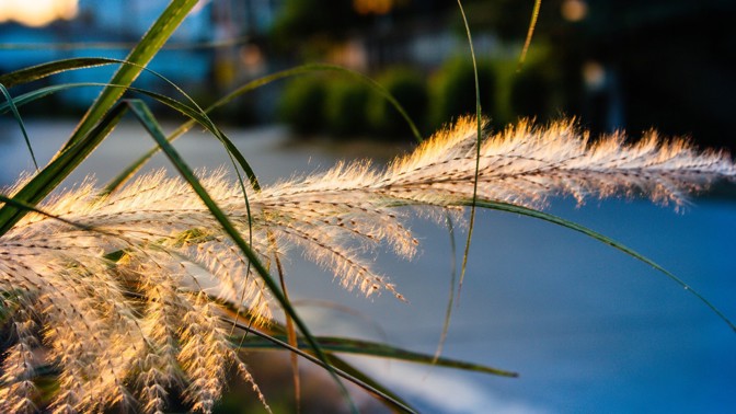 Svatá Anna, chladna z rána: Jak vznikla tato pranostika?