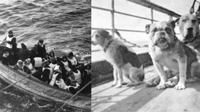 Jak to bylo s mazlíčky na Titanicu?