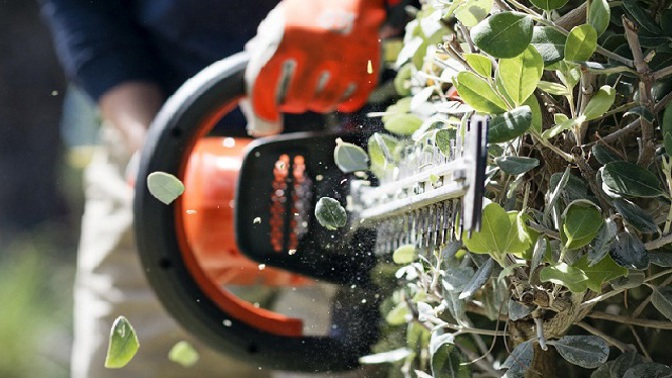 Živý plot jako od Střihorukého Edwarda? S moderní technikou zvládnete dokonalý zástřih i vy