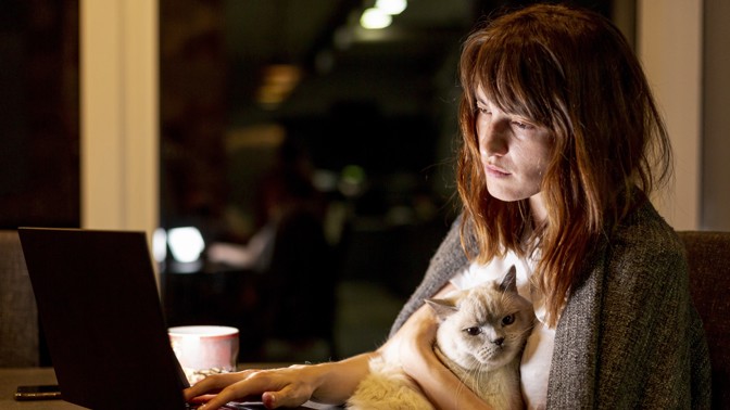 žena, kočka, práce