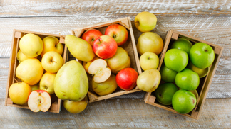 Octomilky útočí: Nastražte jim účinnou past z jaru a piva