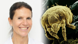 Udělejte si rychlotest! Každý čtvrtý člověk je alergický na roztoče z domácího prachu, říká doktorka Pončáková