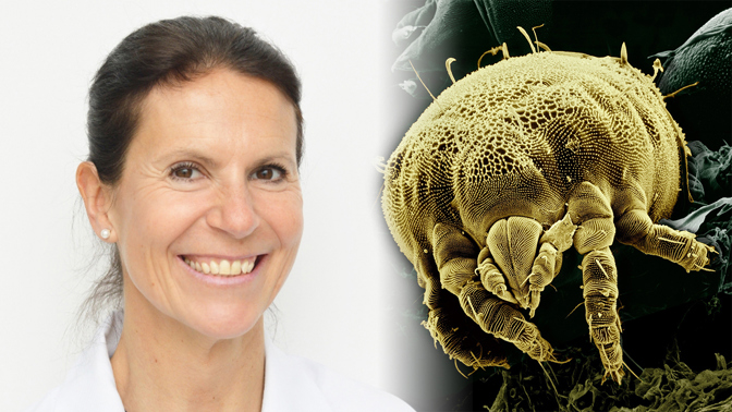 Udělejte si rychlotest! Každý čtvrtý člověk je alergický na roztoče z domácího prachu, říká doktorka Pončáková