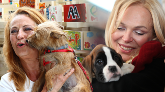 Čtyřnohé celebrity: Podívejte se na nejvíce hýčkané mazlíčky showbyznysu