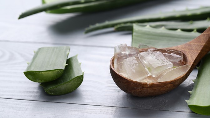 Jak vyčistit organismus od léků? Pomůže nenáročná rostlina, kterou vypěstujete i doma v obýváku